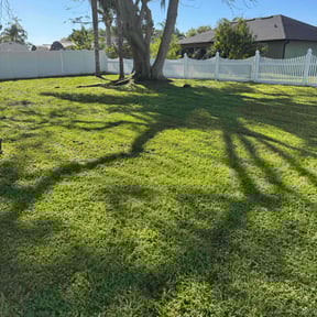turf maintenance by Clinton's lawn service llc reviewed on February 17, 2024