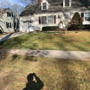 Leaf Removal by Gardner 3 Tools reviewed on July 16, 2022