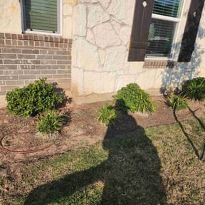 Flower Bed Weeding by Custom Remodeling and Restoration reviewed on May 24, 2026