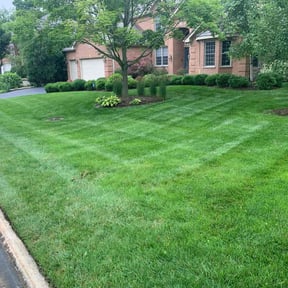 grass maintenance by Perfectionist Landscape reviewed on April 23, 2024