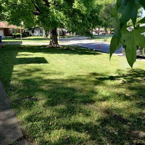lawn care by Dad's lawn care reviewed on July 24, 2025