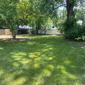 residential landscaping by Lizzy's lawn care reviewed on November 24, 2025