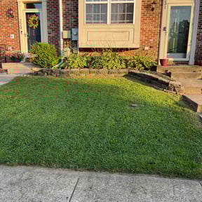 turf care by The Landscapers reviewed on August 19, 2025