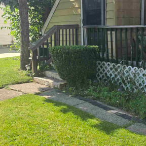 Bush Trimming by Florida Palms and Blades reviewed on October 17, 2026