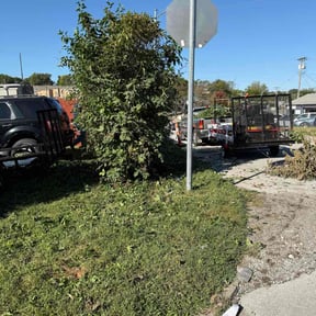 Bush Trimming by D&amp;G Lawn Care/Pressure Washing reviewed on October 18, 2025