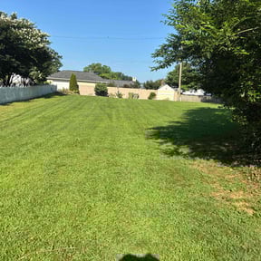 residential landscaping by Villa &amp; Woods reviewed on November 25, 2025