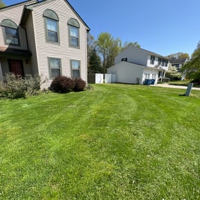 residential landscaping by Medina Property Maintenance reviewed on November 22, 2025