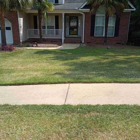 turf care by Monroe and Sons reviewed on August 18, 2025