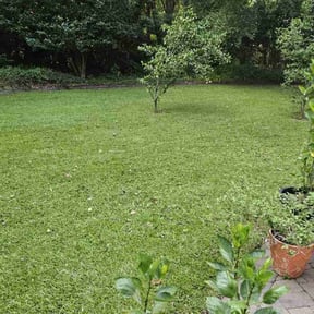 residential landscaping by Green Earth Lawn and snow LLC reviewed on August 21, 2025