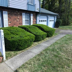 Bush Trimming by WeedMon LawnCare reviewed on August 17, 2025