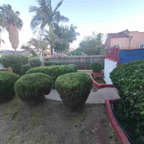 Bush Trimming by Frank’s Gardening Service reviewed on April 12, 2026