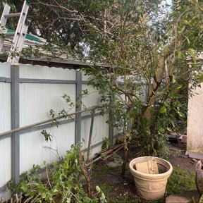 Leaf Removal by Phillip's Lawn care reviewed on July 14, 2026