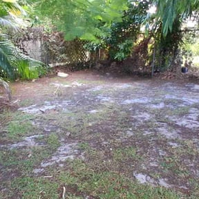 Leaf Removal by Allentown Lawn and Landscape reviewed on November 8, 2025