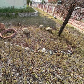 Leaf Removal by RHJ LANDSCAPING LLC reviewed on September 12, 2025