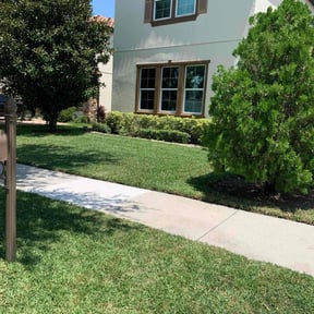 lawn service by Mow Goatz Lawn Service  reviewed on August 19, 2025