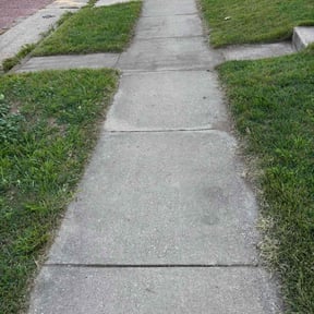 Bush Trimming by Lawns 4 Less reviewed on November 18, 2025