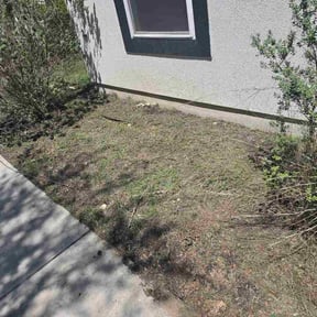 Flower Bed Weeding by All Trades reviewed on May 2, 2026