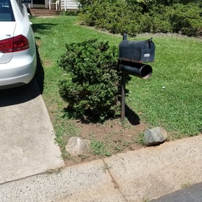 Bush Trimming by Mm lawn care llc reviewed on August 15, 2025