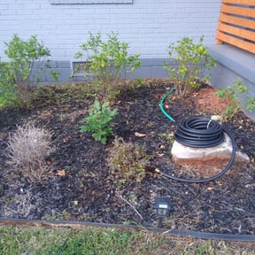 Flower Bed Weeding by Keep it green reviewed on August 20, 2025
