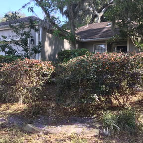 Bush Trimming by Buddys Mow Blow Go Lawncare reviewed on September 20, 2025