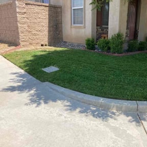 yard maintenance by Hugo Lopez Landscaping reviewed on August 20, 2025