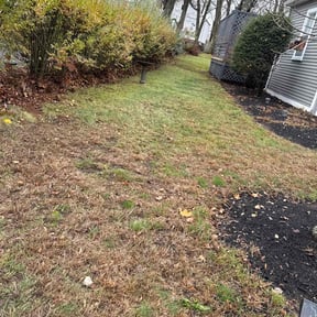 Leaf Removal by Summers lawn care reviewed on October 24, 2025