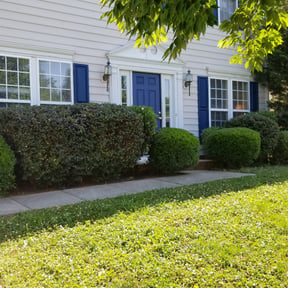 Bush Trimming by Right Time Llc reviewed on March 23, 2024