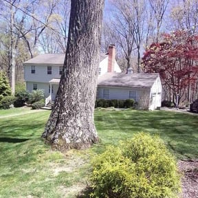 gardening service by Chiappetta  fierro llc reviewed on November 21, 2025