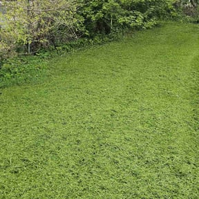 residential landscaping by Drews Country Lawn Care reviewed on May 20, 2023