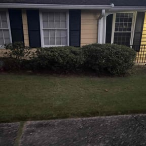 Bush Trimming by Soto landscape reviewed on November 7, 2025