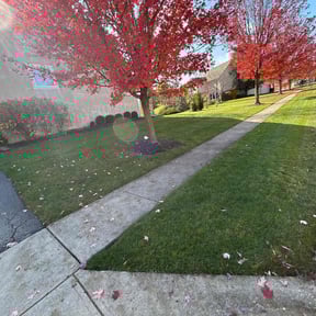 Leaf Removal by Ed&#039;s landscaping reviewed on October 22, 2025