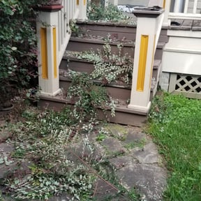 Bush Trimming by MartÃnez landscaping reviewed on August 15, 2025