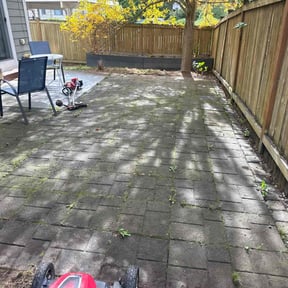 Leaf Removal by Grass Munchers reviewed on October 19, 2025