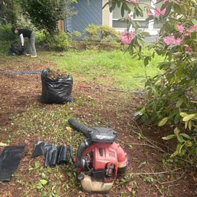 Leaf Removal by The Evergreen Group reviewed on May 10, 2026
