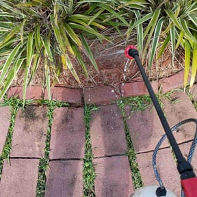 Flower Bed Weeding by Splash tech solutions reviewed on October 24, 2025