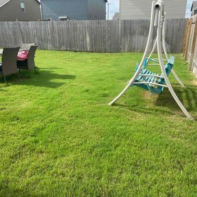 yard care by Green Leaf Cleaning Solutions reviewed on August 16, 2025