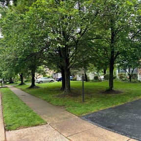 yard work by Hugo's Lawns reviewed on August 17, 2025