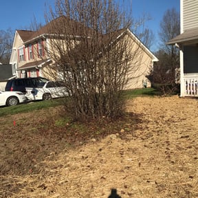 Bush Trimming by Schooley Lawn Care reviewed on August 18, 2025