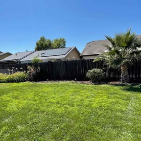 landscaping services by Blue Lagoon Lawn Service reviewed on August 18, 2025
