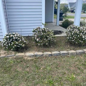 Flower Bed Weeding by The Hill Landscaping reviewed on April 11, 2026