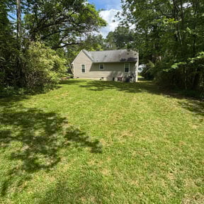 Leaf Removal by alex lawnservice llc reviewed on August 20, 2023