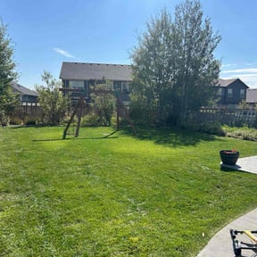 yard service by 8 Point Services LLC reviewed on November 22, 2025