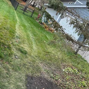 Leaf Removal by Port Lawn Services reviewed on November 10, 2025