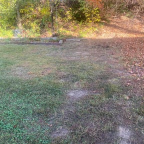 Leaf Removal by C &amp; M Lawn Service reviewed on October 2, 2025