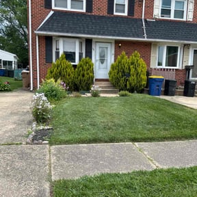 yard maintenance by The right cutt reviewed on August 18, 2025