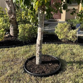Mulching by Garrett’s Lawn Care reviewed on July 28, 2022