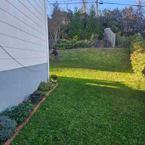 Leaf Removal by Emerson mowing reviewed on November 19, 2025