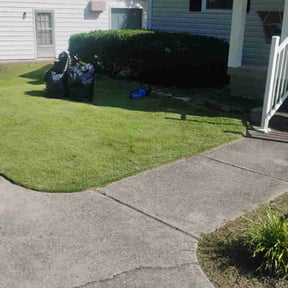 Leaf Removal by New Day Lawn Care reviewed on September 18, 2025