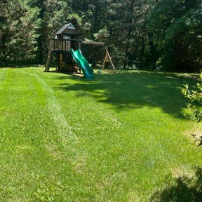 yard care by lazer lawns reviewed on August 16, 2025
