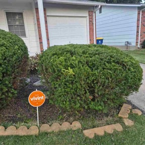 Bush Trimming by Great American Landscape reviewed on October 20, 2025